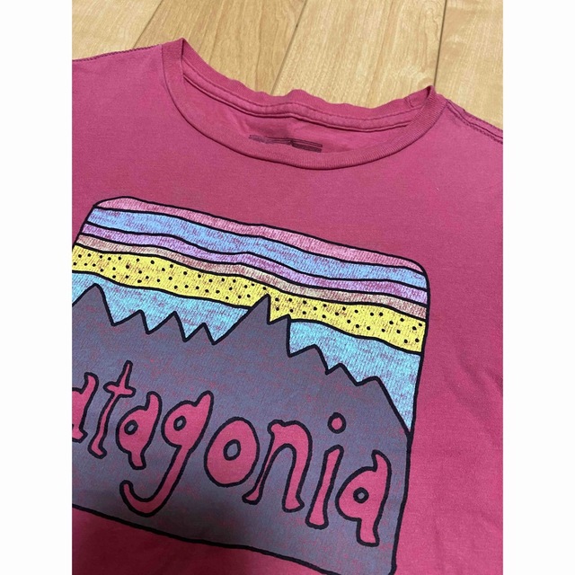 patagonia(パタゴニア)のパタゴニア　女児　半袖Tシャツ　4Ｔ キッズ/ベビー/マタニティのキッズ服女の子用(90cm~)(Tシャツ/カットソー)の商品写真