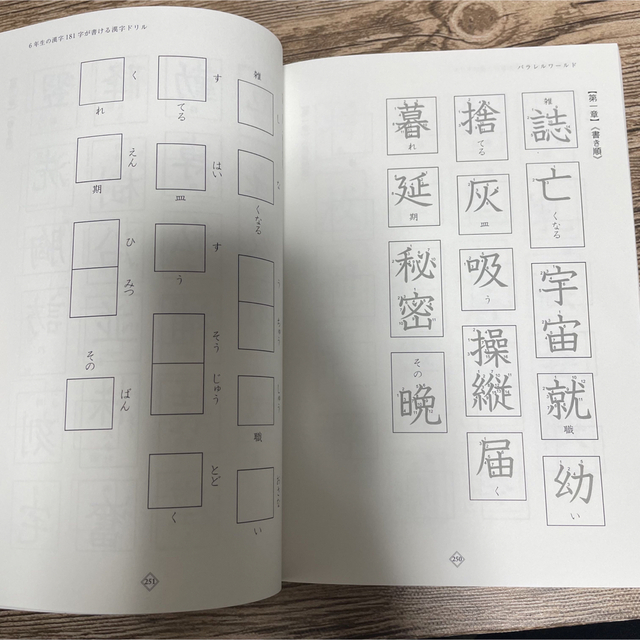 小学校学習漢字1006字がすべて書ける漢字童話 : ドリル版4、5、6年生用 エンタメ/ホビーの本(語学/参考書)の商品写真