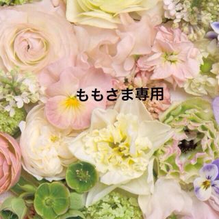 ももさま専用ページ♡(つけ爪/ネイルチップ)