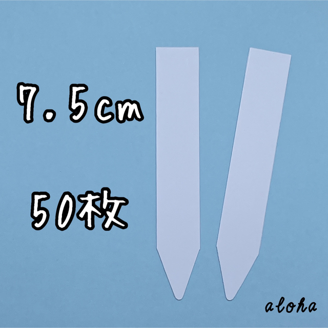 ホワイト　他　多肉植物 アガベ サボテンに◎ 園芸用 ラベル ネームラベル ハンドメイドのフラワー/ガーデン(その他)の商品写真