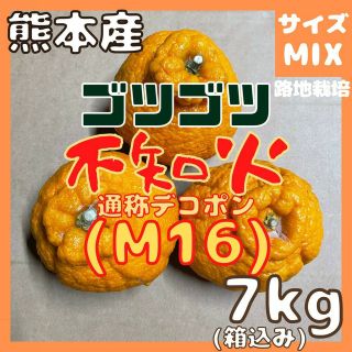 不知火 ゴツゴツ 良品 M16 7kg(デコポン)(フルーツ)