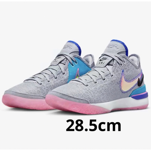 28.5cm Nike Zoom LeBron NXXT GEN EP