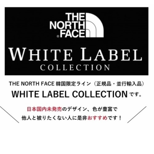 THE NORTH FACE(ザノースフェイス)の【 日本未発売】 THE NORTH FACE /ANTORAJACKET メンズのジャケット/アウター(ナイロンジャケット)の商品写真