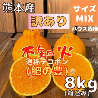 不知火 訳あり サイズMIX8kg(デコポン)(フルーツ)