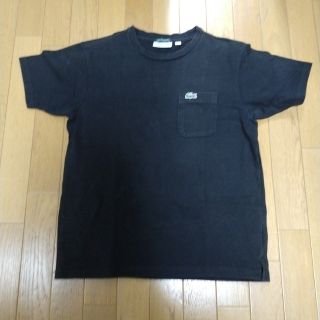 ラコステ(LACOSTE)の624あ..Lacoste 厚手半袖　シャツ　EXCLUSIVE Edition(Tシャツ/カットソー(半袖/袖なし))