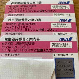 ANA株主優待　(その他)