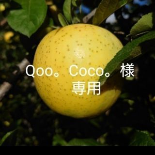 【Qoo。Coco。様専用】(フルーツ)