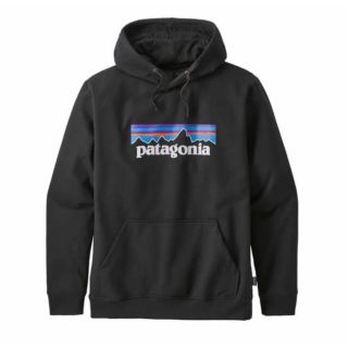 パタゴニア(patagonia)の【早い者勝ち】パタゴニア patagonia  スウェット パーカー Mサイズ(パーカー)