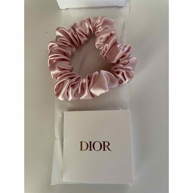 Dior(ディオール)のDior ノベルティ　シュシュ エンタメ/ホビーのコレクション(ノベルティグッズ)の商品写真