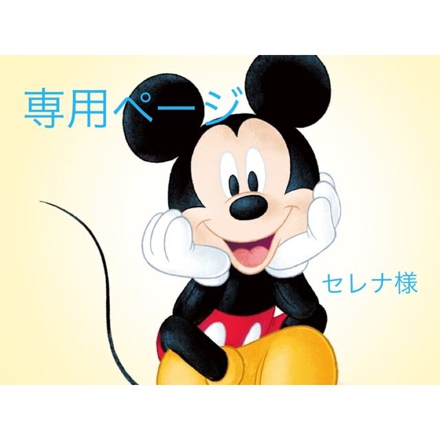 ディズニーグッズ　5点セット