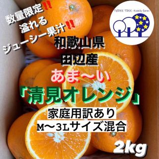 ③和歌山県田辺産 清見 オレンジ みかん 蜜柑 柑橘 タンゴール 清美2kg(フルーツ)