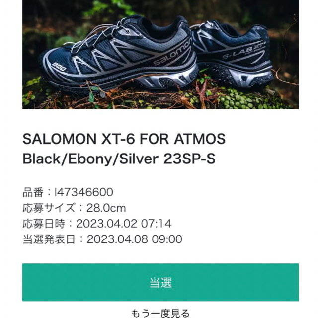 SALOMON(サロモン)のsalomon atmos 28 メンズの靴/シューズ(スニーカー)の商品写真