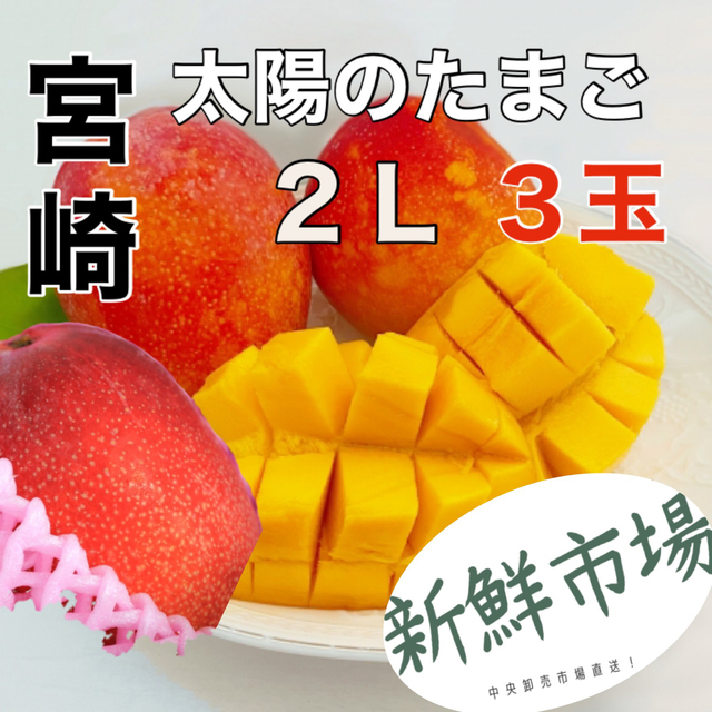 マンゴー！宮崎県産！　２Ｌ　3玉中央卸売市場より直送！ 食品/飲料/酒の食品(フルーツ)の商品写真