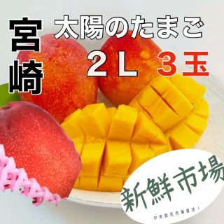 マンゴー！宮崎県産！　２Ｌ　3玉中央卸売市場より直送！(フルーツ)