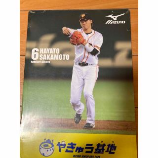 坂本勇人クリアファイル(記念品/関連グッズ)