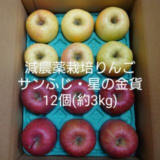 減農薬栽培りんご　サンふじ・星の金貨約3kg(フルーツ)