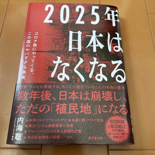 ２０２５年日本はなくなる 内海聡 エンタメ/ホビーの本(文学/小説)の商品写真