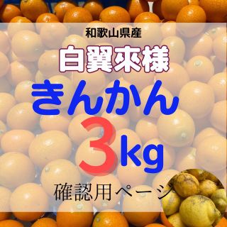 白翼來様専用ページ・和歌山県産きんかん3kg・(フルーツ)