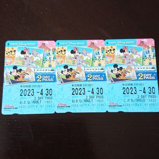 ディズニー(Disney)の【未使用】ディズニーリゾートライン 2デイパス(遊園地/テーマパーク)