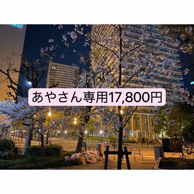 あやさん　専用　17,800円レディース