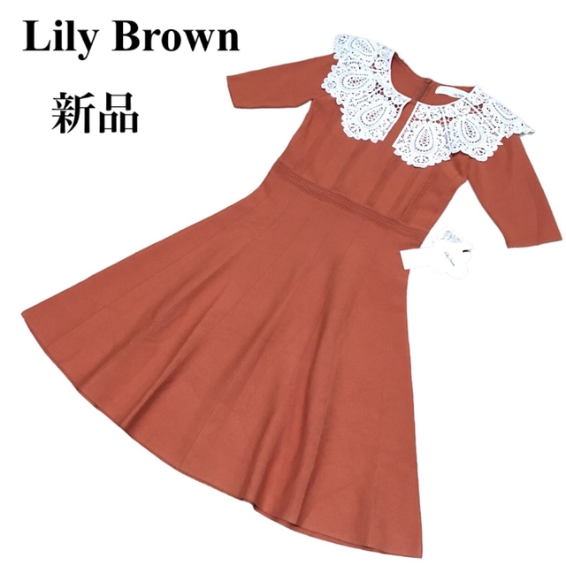 Lily Brown(リリーブラウン)の【新品】リリーブラウン　ワンピース　レース襟　ニット　半袖 レディースのワンピース(ひざ丈ワンピース)の商品写真