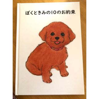 ぼくときみの10のお約束(犬)