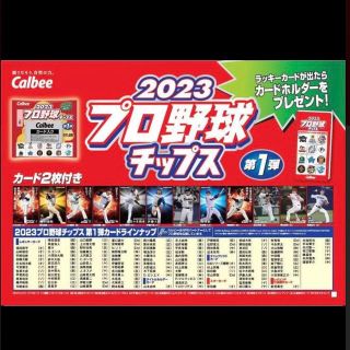 カルビー(カルビー)のプロ野球チップス　2023 第一弾　コンプリートセット(スポーツ選手)