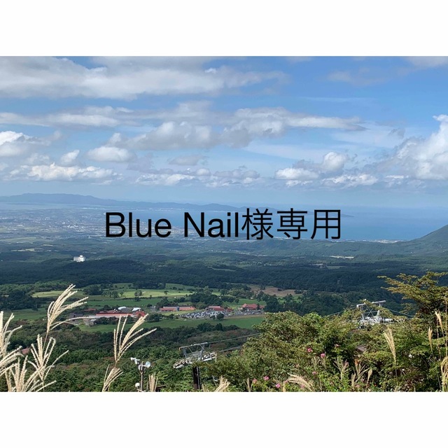 Blue Nail様専用ページ コスメ/美容のネイル(その他)の商品写真