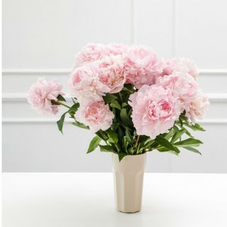 フォクシー(FOXEY) ドレスワンピースの通販 300点以上 | フォクシーを フォクシー(FOXEY) ドレスワンピースの通販 300点以上 | フォクシーを
