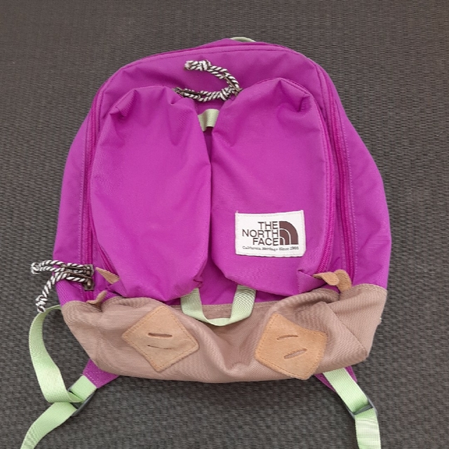 The North Face Mini Crevasse Backpack 美品