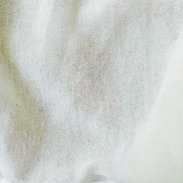 archives(アルシーヴ)のarchives レース付半袖カットソー　ホワイト レディースのトップス(カットソー(半袖/袖なし))の商品写真