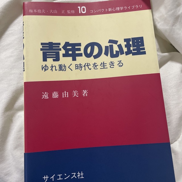 青年の心理 ゆれ動く時代を生きる エンタメ/ホビーの本(人文/社会)の商品写真