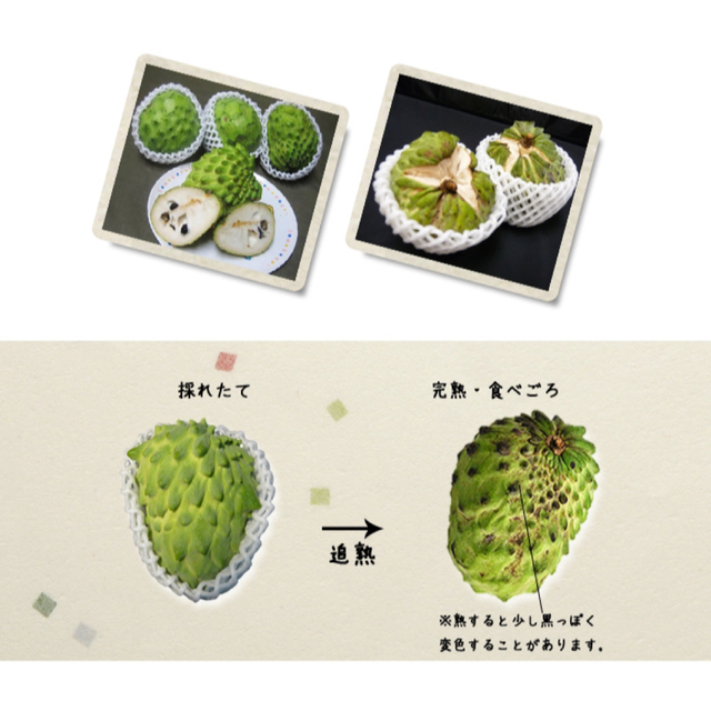 沖縄県産  無農薬 規格外品 アテモヤ 食品/飲料/酒の食品(フルーツ)の商品写真