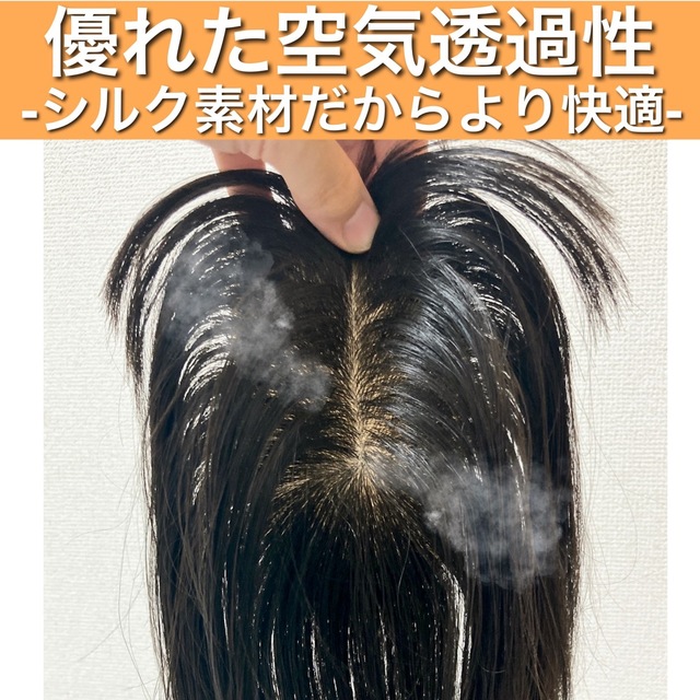 高級人毛100% 分け目自由自在 30cm ヘアピース 部分ウィッグ ブラック