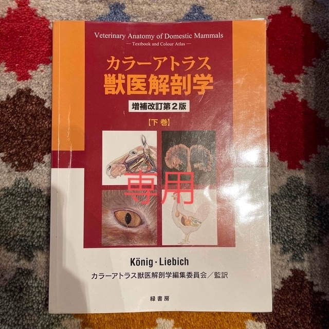 カラ－アトラス獣医解剖学 下巻 増補改訂第２版の通販 by Anne's shop ...