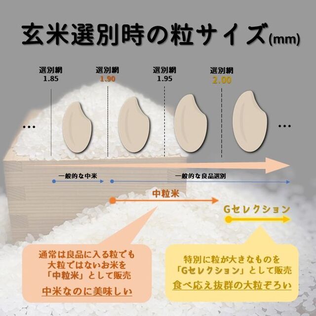 山形県庄内産　白米20kg　つや姫中粒米　令和4年　米/穀物