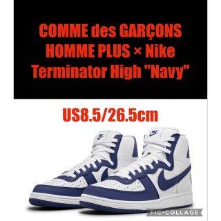 コムデギャルソンオムプリュス(COMME des GARCONS HOMME PLUS)のCOMME des GARÇONS HOMME PLUS × Nike(スニーカー)