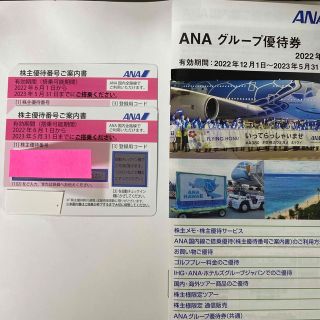 エーエヌエー(ゼンニッポンクウユ)(ANA(全日本空輸))の株主優待ANA グループ優待券付き(その他)