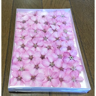 銀の紫陽花が作った美しすぎる濃いピンクの「江戸彼岸桜」のドライフラワー40冠‼️(ドライフラワー)