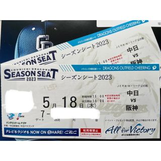 チュウニチドラゴンズ(中日ドラゴンズ)の中日vs阪神 ドラゴンズ外野応援シートペア 5/18（木）(野球)