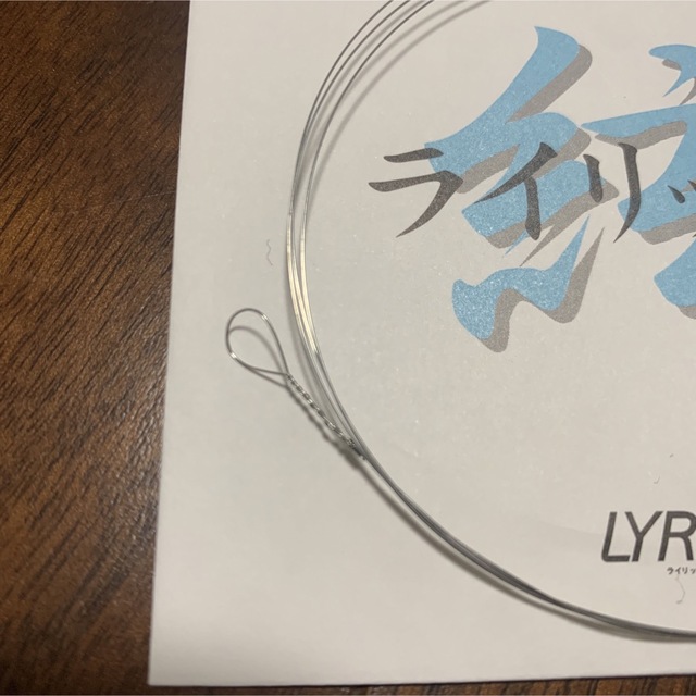 大正琴 絃 弦 鋼線 細弦 ソプラノ ライリッシュ LYRISH 1本 楽器の和楽器(大正琴)の商品写真