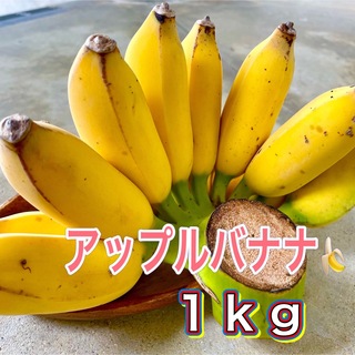 沖縄県産 無農薬 アップルバナナ(フルーツ)