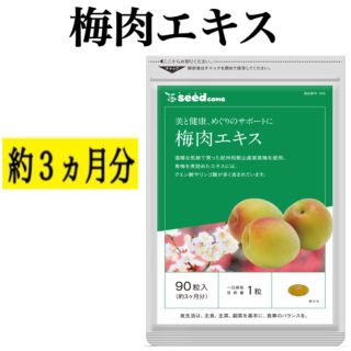 紀州産南高梅を厳選使用！【梅肉エキス】約3ヵ月分(その他)