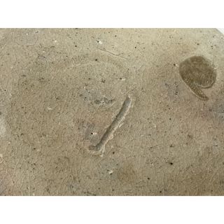 作家物 陶芸家 辻清明 灰釉 銘々皿 丸板組皿 5枚 丸皿 | www.unimac.az