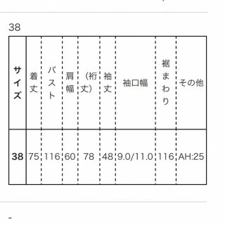 ENFOLD - 新品タグ付！2023SS ENFOLD 即完売 SCREW SLEEVE POの通販 by