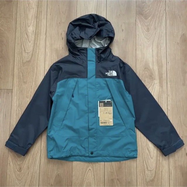 定期入れの ノースフェス THE NORTH FACE ドットショット