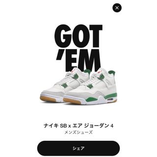 Nike SB × Air Jordan 4 Pine Green 32cm(スニーカー)