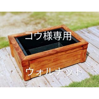 コウ様専用(アクアリウム)