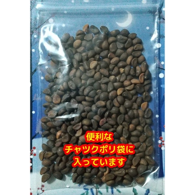 空芯菜の種22g【400粒以上】★無農薬栽培の種、本場ベトナム産・増量サービス中 食品/飲料/酒の食品(野菜)の商品写真