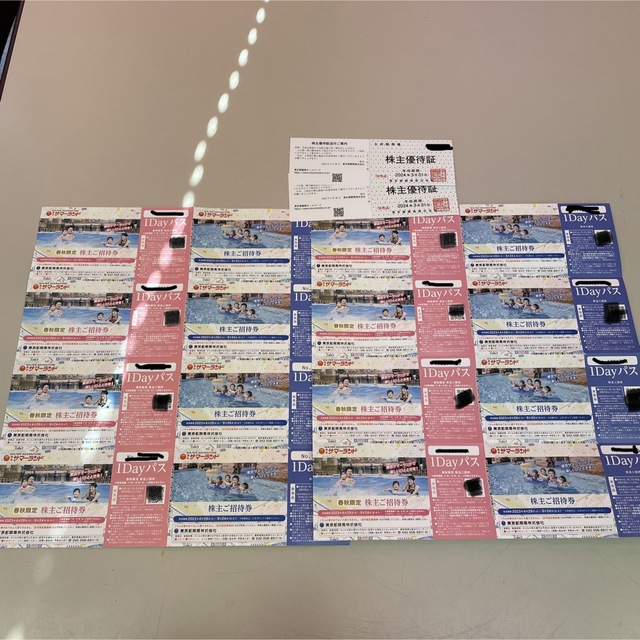東京サマーランド 東京都競馬 株主優待 8枚x2 - 遊園地/テーマパーク